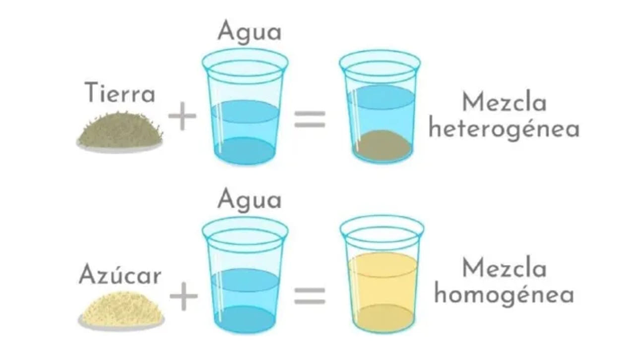 Diferencia entre homogeneo y heterogeneo
