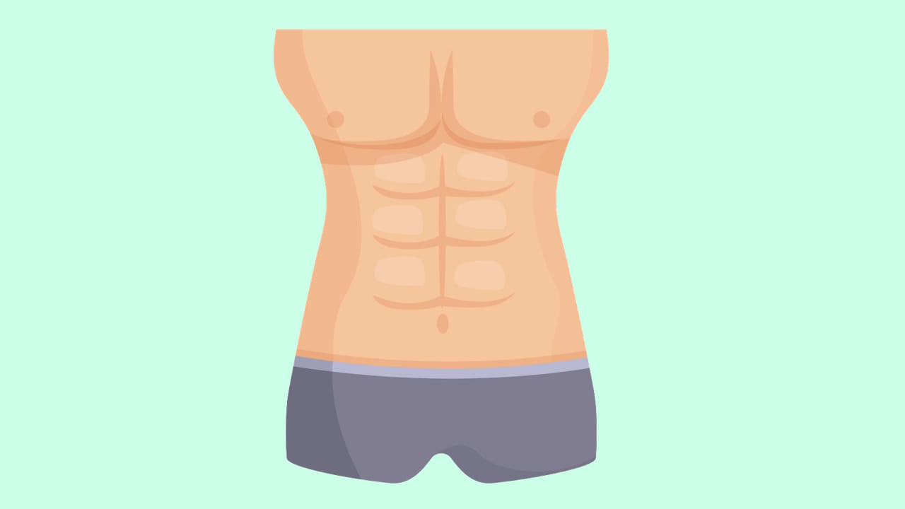 Diferencia entre abdomen y cavidad abdominal, ejemplos