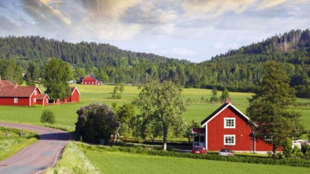 Diferencias entre urbano y rural