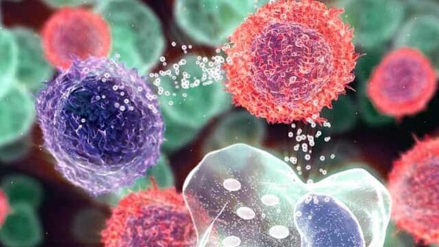 Diferencias entre Inflamación Aguda