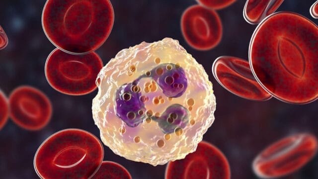 Diferencias entre células T