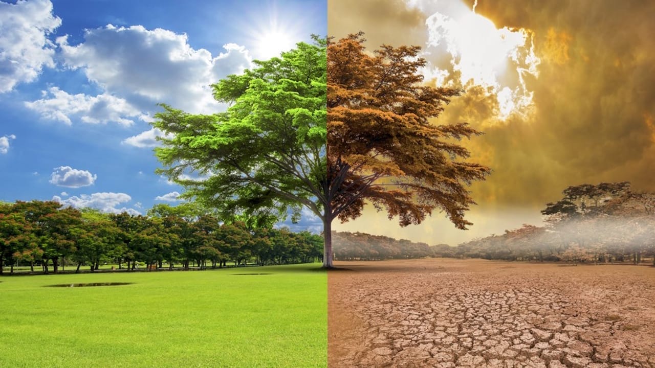 cambio climatico ecologia planeta naturaleza Diferencia entre Clima y Temperatura