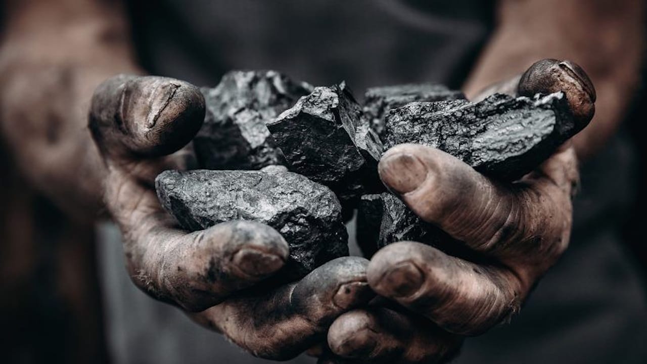 Diferencia entre carbón vegetal y carbón activado